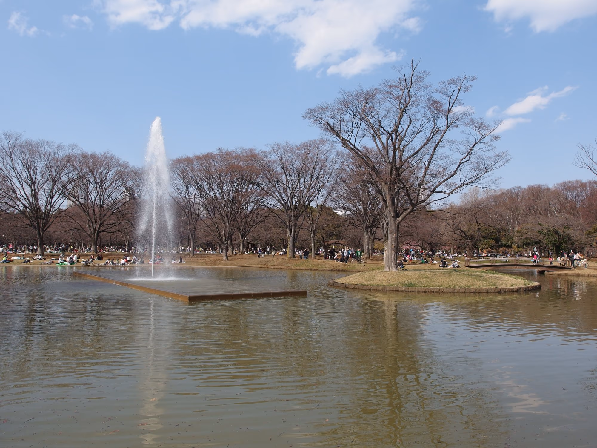 Rasenflächen und Bäume im Yoyogi-Park